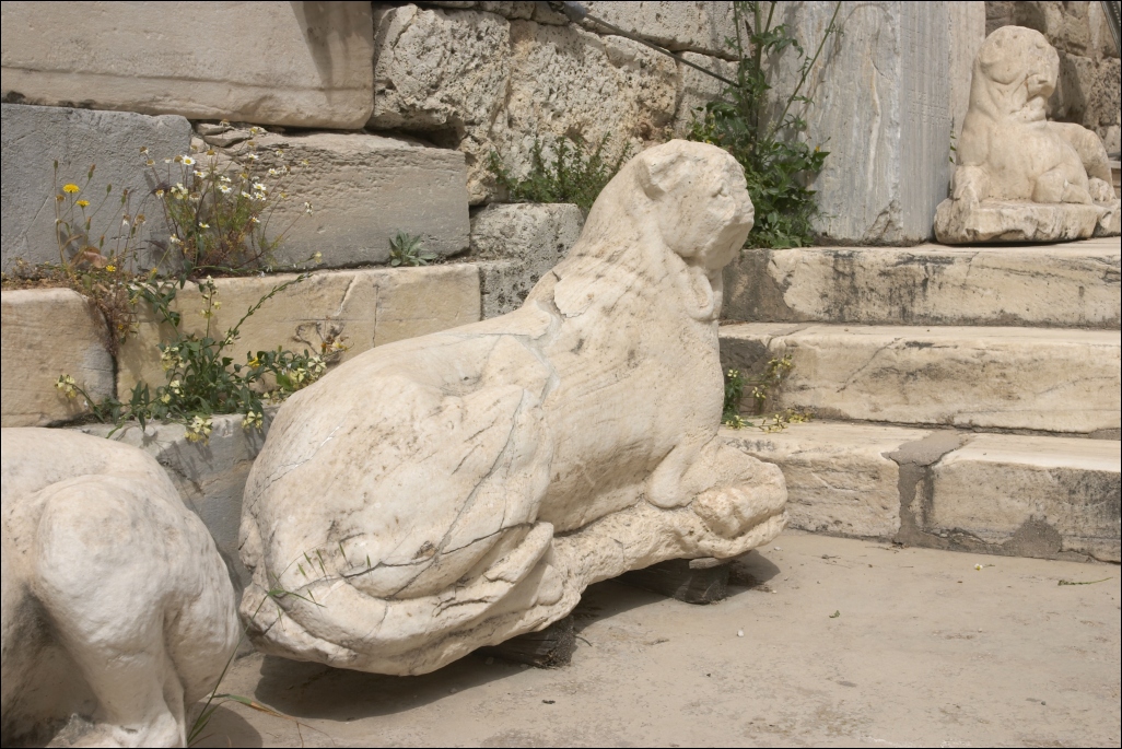 Ji Sitera photo gallery > Mstopis > Mstopis - zahrani > Athens > Acropolis > jsd050417-2840
