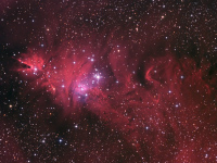 Hvzdokupa s mlhovinou NGC2264